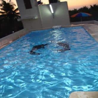 Two Bedroom Suites In Calangute, Goa. Rooftop Swimming Pool, Goa 2